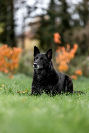 Portraitfotografie-Garten-003