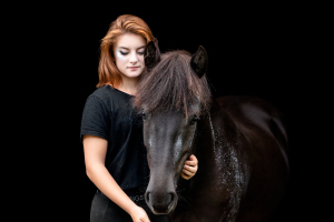 Blattgold-Glitzer-Pferd-003