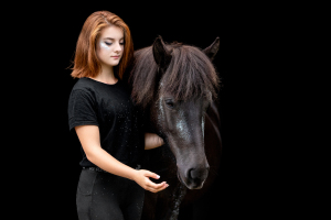 Blattgold-Glitzer-Pferd-006