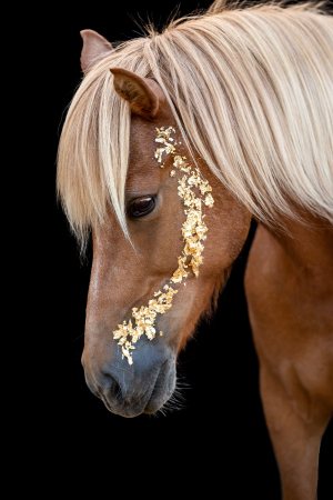 Blattgold-Glitzer-Pferd-008