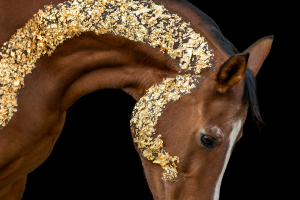 Blattgold-Glitzer-Pferd-032