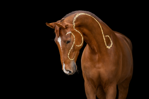 Blattgold-Glitzer-Pferd-041