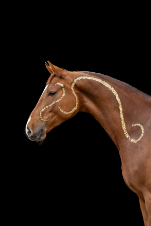 Blattgold-Glitzer-Pferd-042