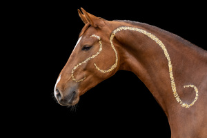 Blattgold-Glitzer-Pferd-042_