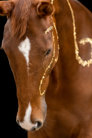 Blattgold-Glitzer-Pferd-044