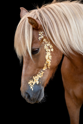 Blattgold-Glitzer-Pferd-008