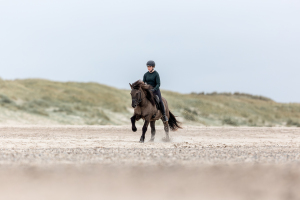Pferdefotografie-Meer-002