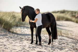 Pferdefotografie-Meer-008