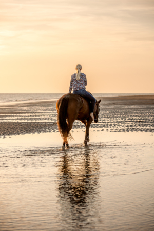Pferdefotografie-Meer-018