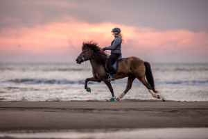 Pferdefotografie-Meer-032
