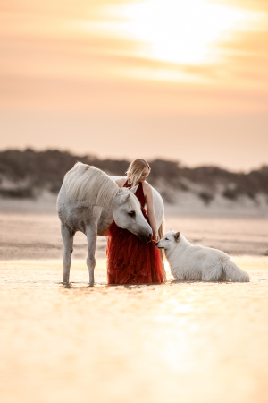 Pferdefotografie-Meer-034