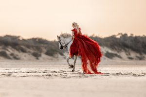 Pferdefotografie-Meer-039