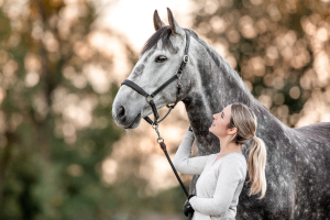 Pferdefotografie