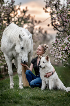 Pferd-Mensch-0097