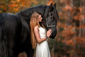 Pferd-Mensch-0107