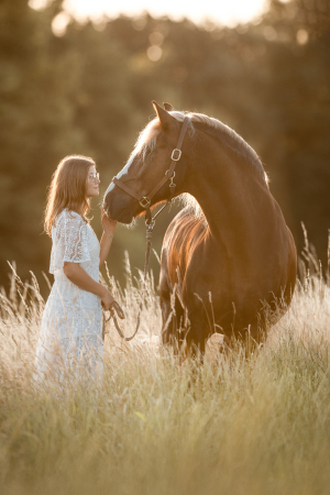 Pferdefotografie-026