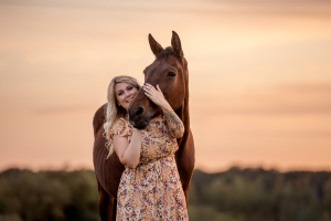 Pferdefotografie bei Sonnenuntergang