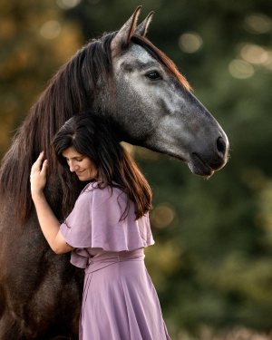 Pferd bei Sonnenuntergang
