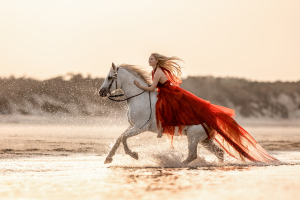 Pferd galoppiert aus dem Meer