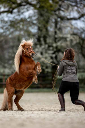 Trainingsfotografie-009