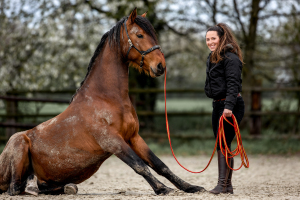 Trainingsfotografie-010