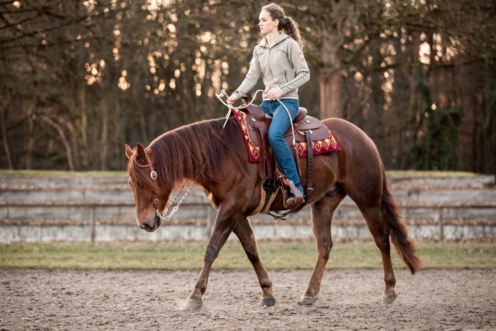 Westernreiten