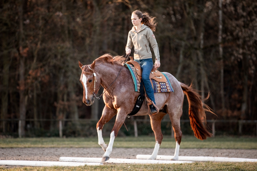 Westernreiten