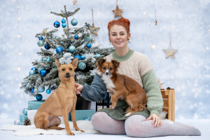 Hundefotografie-Weihnachten-009