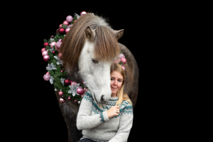1_Weihnachtskranz-Pferd-016