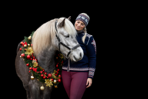 Weihnachtskranz-Pferd-001