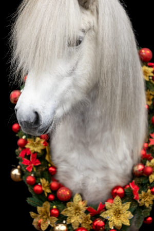 Weihnachtskranz-Pferd-004