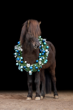 Weihnachtskranz-Pferd-014