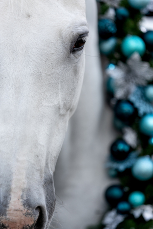 Weihnachtskranz-Pferd-111