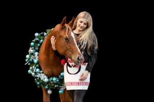 Weihnachtskranz-Pferd-114
