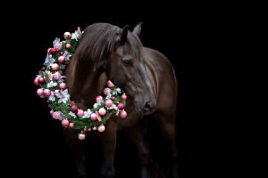 Weihnachtskranz-Pferd-117
