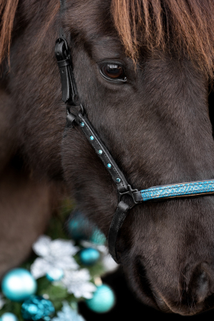 Weihnachtskranz-Pferd-124