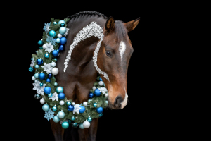 Weihnachtskranz-Pferd-130