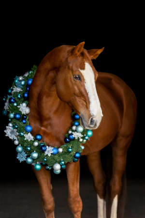 Weihnachtskranz-Pferd-133