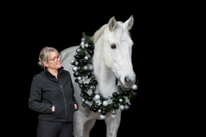 Weihnachtskranz-Pferd-134
