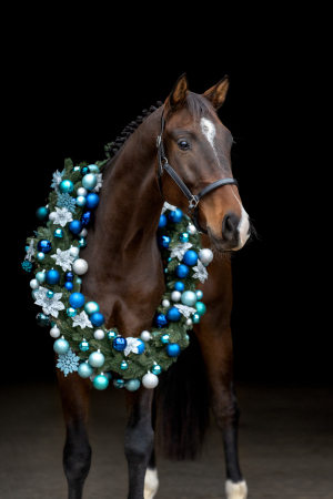 Weihnachtskranz-Pferd-136