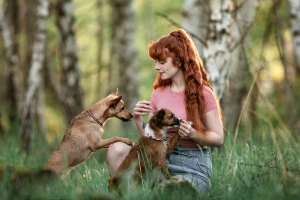 Hundefotografie