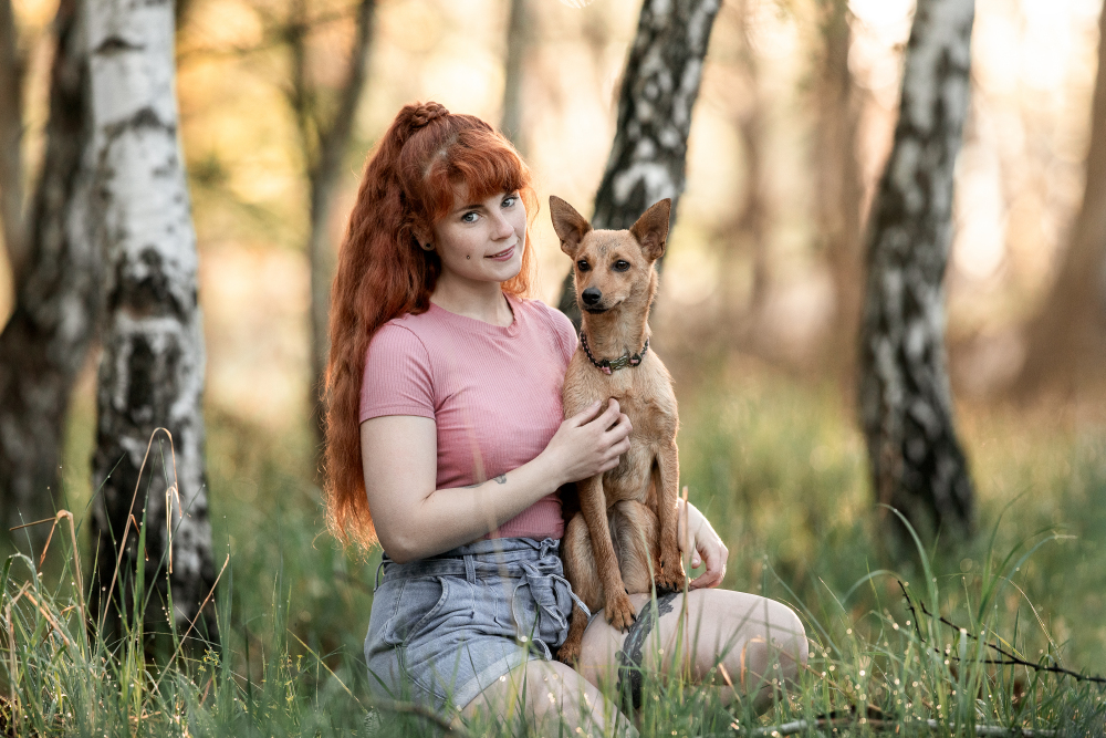 Hundefotografie