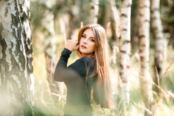 Portraitfotografie Birkenwald