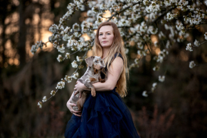 Hundefotografie