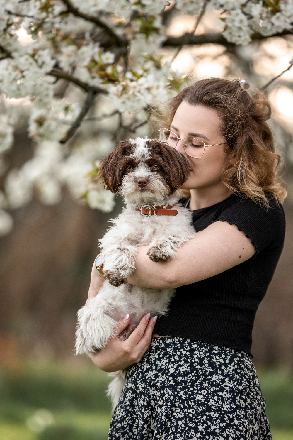 Hundefotografie
