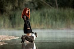 Hundefotografie