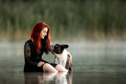Hundefotografie
